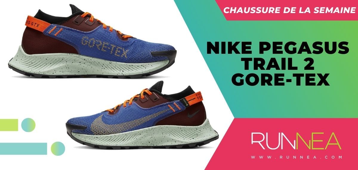 Chaussure de la semaine : Nike Pegasus Trail 2 GORE-TEX