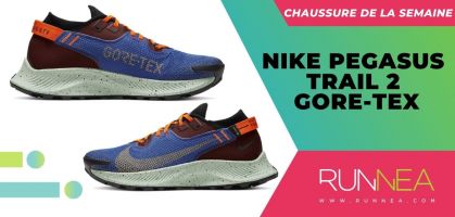 Chaussure de la semaine : Nike Pegasus Trail 2 GORE-TEX