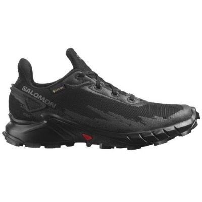 Salomon Alphacross 4 Gore-Tex Homme