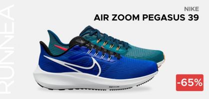 Prix historique : Nike Air Zoom Pegasus 39 pour 53,98 avant 119,99€ (-65% de réduction)