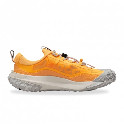 chaussure Nike ACG Mountain Fly 2 Low