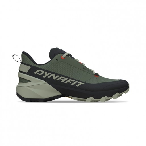 Dynafit Transalper 2 Low GTX