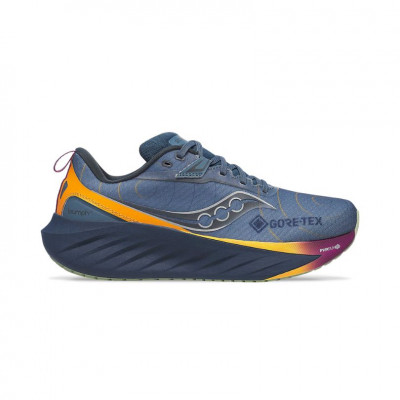 Saucony Triumph 22 GTX Femme