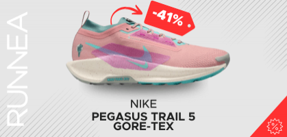 Nike Pegasus Trail 5 GTX pour 99,98 € avant 159,99 € (-41 % de remise) 