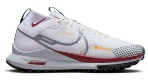 Nike Pegasus Trail 4 GTX - homme - blanc