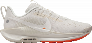 Chaussures de Nike Pegasus Trail 5