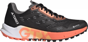 Chaussures de trail adidas TERREX AGRAVIC FLOW 2 GTX W