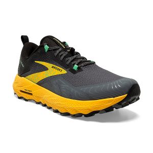 chaussures de trail homme cascadia 17