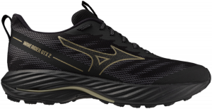 Chaussures de trail Mizuno WAVE RIDER GTX 2