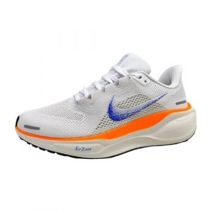 Nike Pegasus 41 Blueprint Chaussures pour femme Multicolore