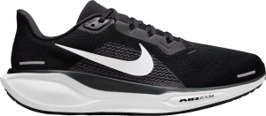 Chaussures de running Nike Pegasus 41 WIDE