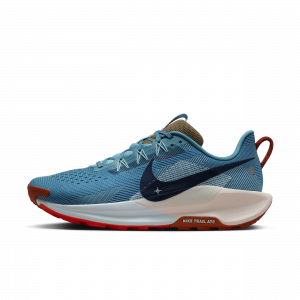 Chaussure de trail Nike Pegasus Trail 5 pour homme - Bleu