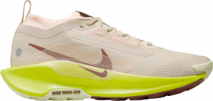 Chaussures de Nike Pegasus Trail 5 GORE-TEX