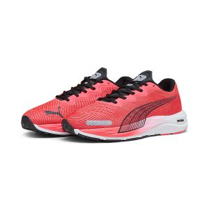 chaussures de running homme velocity nitro 2