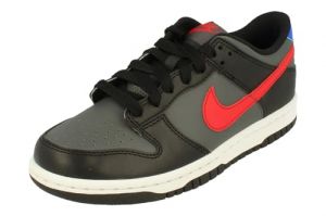 Nike Dunk Low GS FV0373001