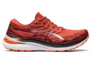 GEL-KAYANO 29