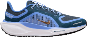 Chaussures de running Nike Pegasus 41 GORE-TEX