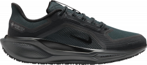 Chaussures de running Nike Pegasus 41 GORE-TEX