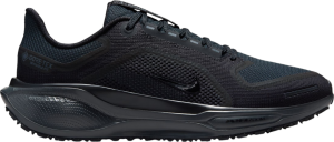 Chaussures de running Nike Pegasus 41 GORE-TEX