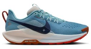 Nike Pegasus Trail 5 - homme - bleu