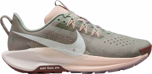 Chaussures de Nike Pegasus Trail 5