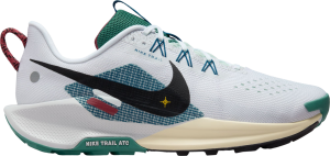 Chaussures de Nike Pegasus Trail 5