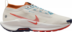 Chaussures de Nike Pegasus Trail 5 GORE-TEX