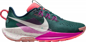 Chaussures de Nike Pegasus Trail 5