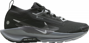 Chaussures de Nike Pegasus Trail 5 GORE-TEX