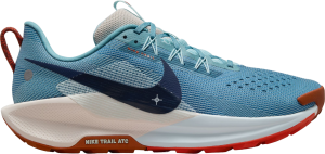 Chaussures de Nike Pegasus Trail 5