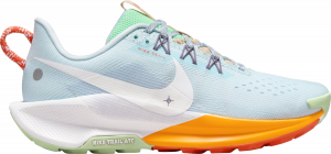 Chaussures de Nike Pegasus Trail 5