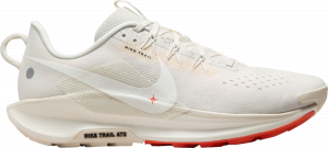 Chaussures de Nike Pegasus Trail 5