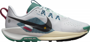 Chaussures de Nike Pegasus Trail 5