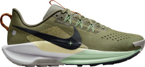 Chaussures de Nike Pegasus Trail 5