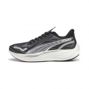 Chaussures de running Velocity NITRO? 3 Homme