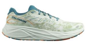 Salomon Aero Glide 2 - homme - bleu