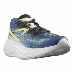 Chaussures Salomon Aero Glide bleu vert lime - 46(2/3)