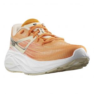 Chaussures Salomon Aero Glide orange blanc - 46