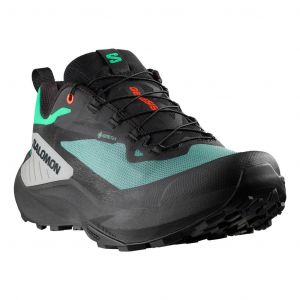 Chaussures Salomon Genesis GORE-TEX noir vert - 49(1/3)