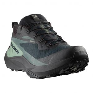 Chaussures Salomon Genesis GORE-TEX violet vert - 49(1/3)