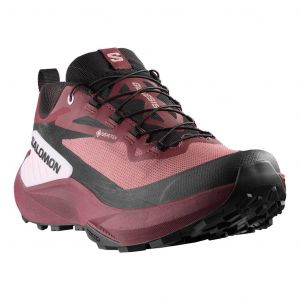 Chaussures Salomon Genesis GORE-TEX violet grenat femme - 44