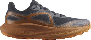 Chaussures de trail Salomon GLIDE MAX TR