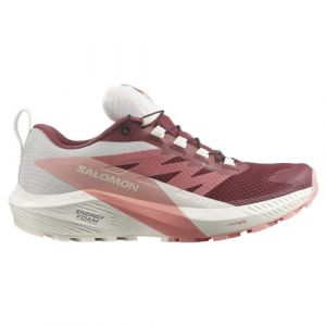 Salomon Sense Ride 5 GTX W Chaussures de trail pour femme