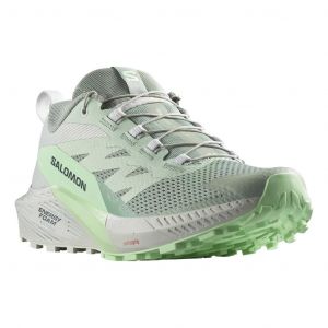 Chaussures Salomon Sense Ride 5 gris vert femme - 44