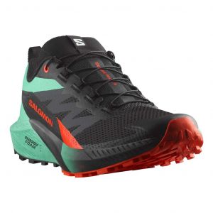 Chaussures Salomon Sense Ride 5 noir vert orange - 49(1/3)