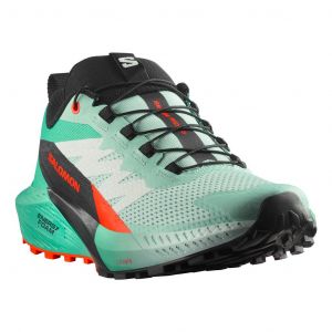 Chaussures Salomon Sense Ride 5 vert turquoise femme - 44