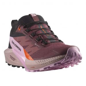 Chaussures Salomon Sense Ride 5 GORE-TEX violet femme - 44