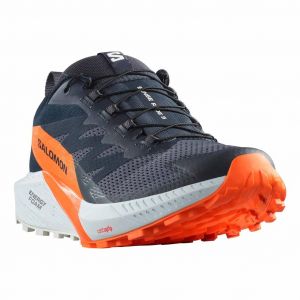 Chaussures Salomon Sense Ride 5 GORE-TEX gris foncé orange - 48