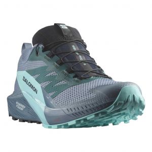 Chaussures Salomon Sense Ride 5 GORE-TEX gris vert turquoise - 46