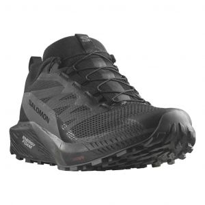 Chaussures Salomon Sense Ride 5 GORE-TEX noir - 49(1/3)